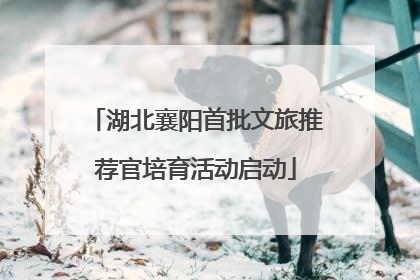 湖北襄阳首批文旅推荐官培育活动启动