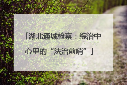 湖北通城检察：综治中心里的“法治前哨”
