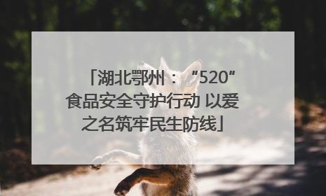 湖北鄂州：“520”食品安全守护行动 以爱之名筑牢民生防线