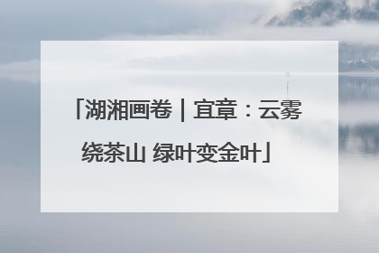 湖湘画卷｜宜章：云雾绕茶山 绿叶变金叶