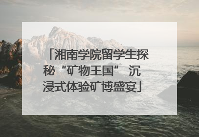 湘南学院留学生探秘“矿物王国” 沉浸式体验矿博盛宴