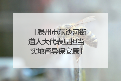 滕州市东沙河街道人大代表显担当实地督导保安康