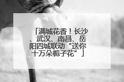 满城花香！长沙、武汉、南昌、岳阳四城联动“送你十万朵栀子花”