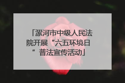 漯河市中级人民法院开展“六五环境日”普法宣传活动