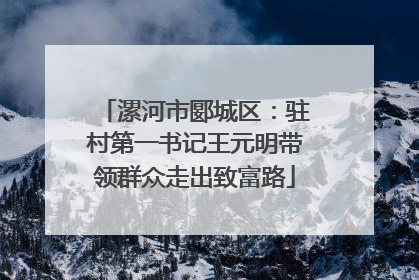 漯河市郾城区：驻村第一书记王元明带领群众走出致富路