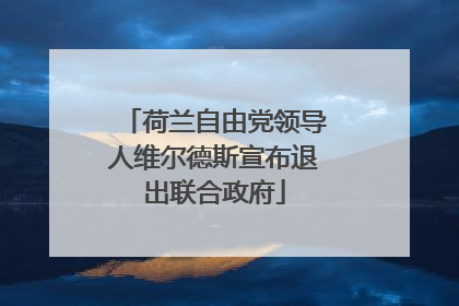 荷兰自由党领导人维尔德斯宣布退出联合政府