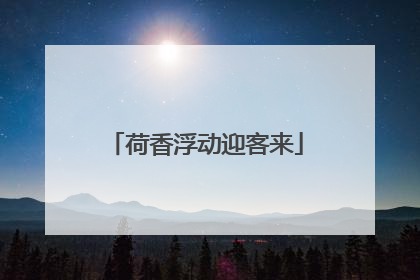 荷香浮动迎客来