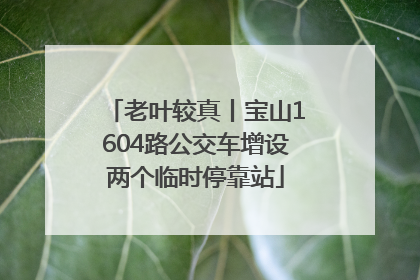 老叶较真丨宝山1604路公交车增设两个临时停靠站