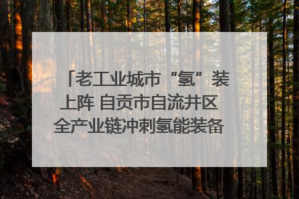 老工业城市“氢”装上阵 自贡市自流井区全产业链冲刺氢能装备制造新高地｜美好生活有“盐”味
