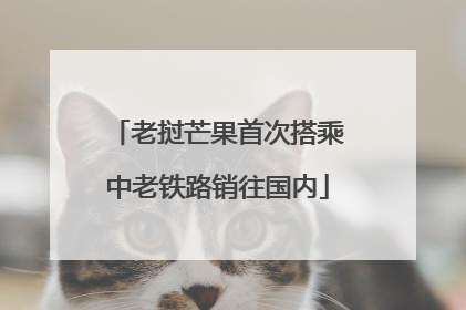 老挝芒果首次搭乘中老铁路销往国内