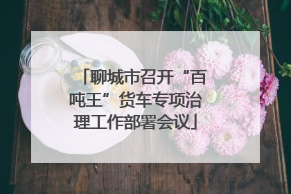 聊城市召开“百吨王”货车专项治理工作部署会议