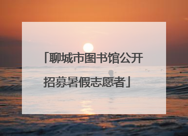 聊城市图书馆公开招募暑假志愿者