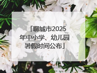 聊城市2025年中小学、幼儿园暑假时间公布