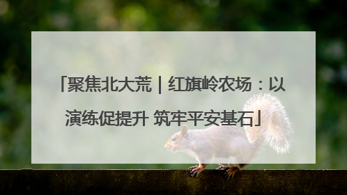 聚焦北大荒｜红旗岭农场：以演练促提升 筑牢平安基石