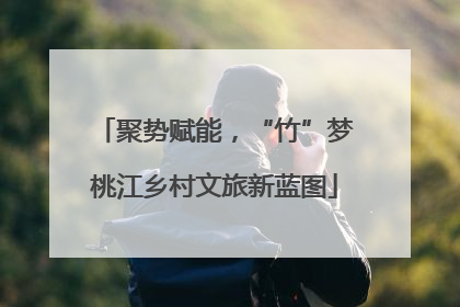 聚势赋能，“竹”梦桃江乡村文旅新蓝图