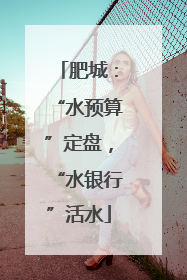 肥城：“水预算”定盘，“水银行”活水