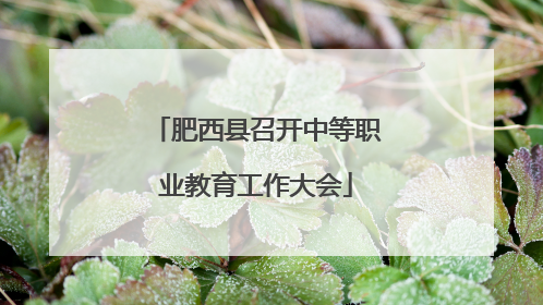 肥西县召开中等职业教育工作大会