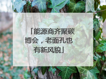 能源商齐聚碳博会，老面孔也有新风貌