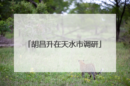 胡昌升在天水市调研