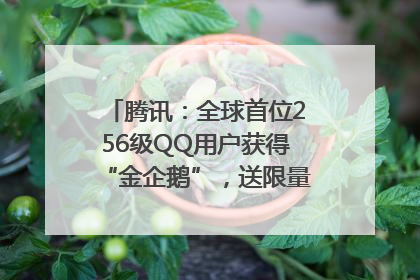 腾讯：全球首位256级QQ用户获得“金企鹅”，送限量版神秘惊喜等礼物