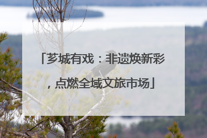 芗城有戏：非遗焕新彩，点燃全域文旅市场