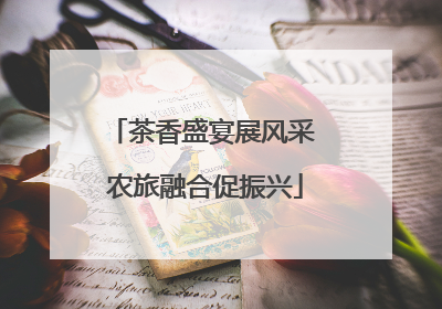 茶香盛宴展风采 农旅融合促振兴