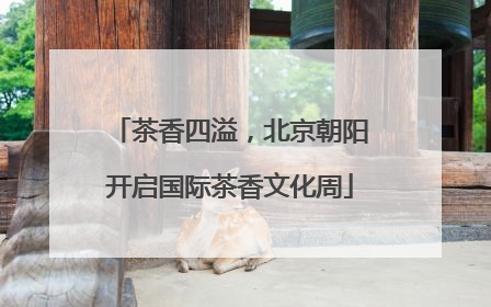 茶香四溢，北京朝阳开启国际茶香文化周