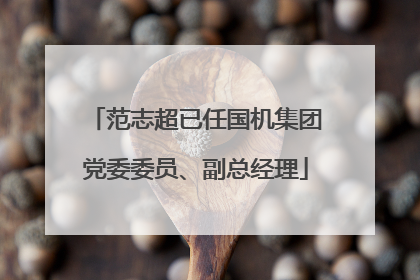 范志超已任国机集团党委委员、副总经理