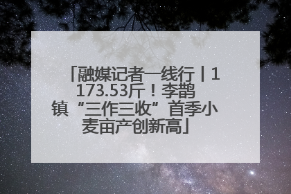 融媒记者一线行丨1173.53斤！李鹊镇“三作三收”首季小麦亩产创新高