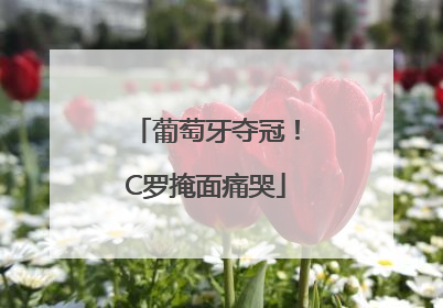 葡萄牙夺冠！C罗掩面痛哭
