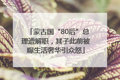 蒙古国“80后”总理遭解职，其子此前被曝生活奢华引众怒