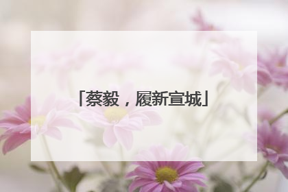 蔡毅，履新宣城