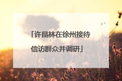 许昆林在徐州接待信访群众并调研