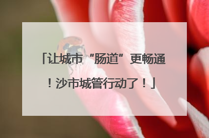 让城市“肠道”更畅通！沙市城管行动了！