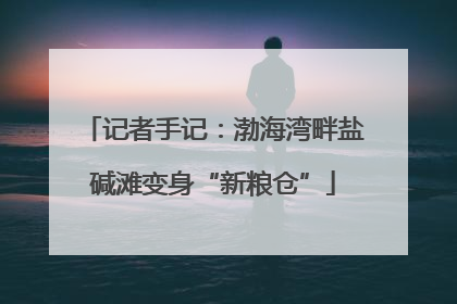 记者手记：渤海湾畔盐碱滩变身“新粮仓”
