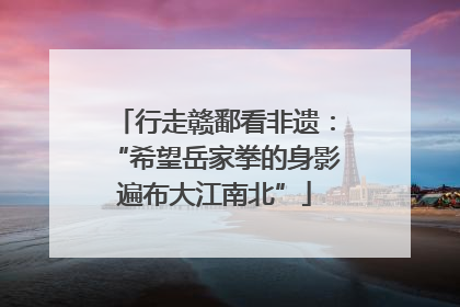 行走赣鄱看非遗：“希望岳家拳的身影遍布大江南北”