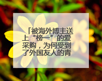 被海外博主送上“榜一”的爱采购，为何受到了外国友人的青睐？