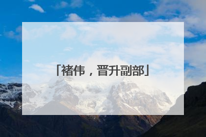 褚伟，晋升副部