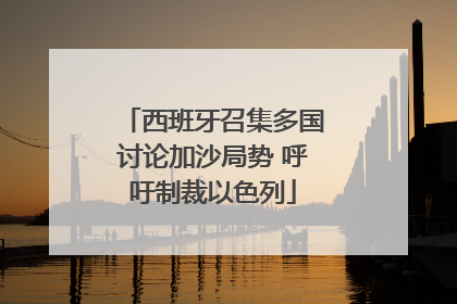 西班牙召集多国讨论加沙局势 呼吁制裁以色列