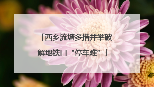 西乡流塘多措并举破解地铁口“停车难”
