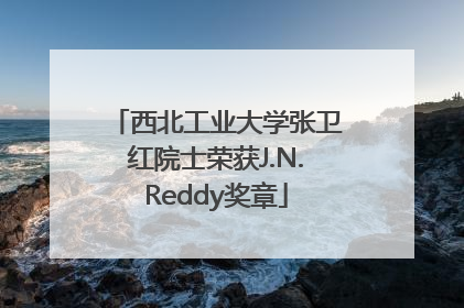 西北工业大学张卫红院士荣获J.N.Reddy奖章