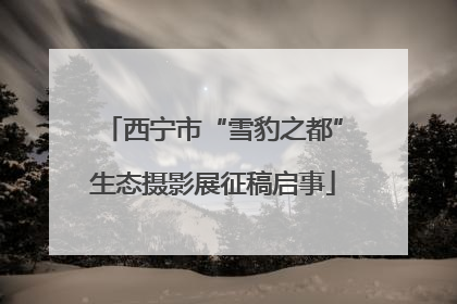 西宁市“雪豹之都”生态摄影展征稿启事