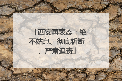 西安再表态：绝不姑息、彻底斩断、严肃追责