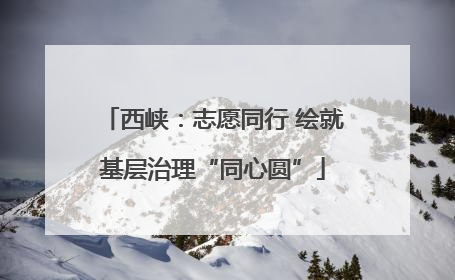 西峡：志愿同行 绘就基层治理“同心圆”