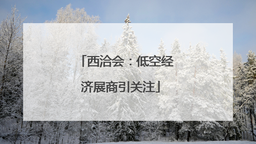 西洽会：低空经济展商引关注