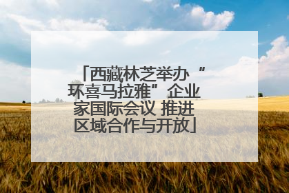 西藏林芝举办“环喜马拉雅”企业家国际会议 推进区域合作与开放