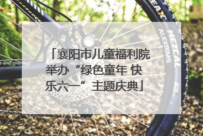 襄阳市儿童福利院举办“绿色童年 快乐六一”主题庆典