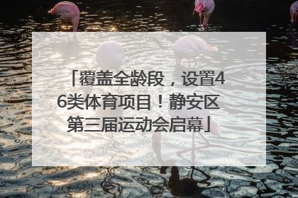 覆盖全龄段，设置46类体育项目！静安区第三届运动会启幕