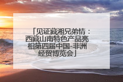 见证藏湘兄弟情：西藏山南特色产品亮相第四届中国-非洲经贸博览会