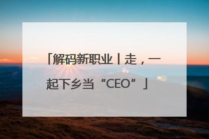 解码新职业丨走，一起下乡当“CEO”